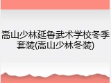 嵩山少林延鲁武术学校冬季套装(嵩山少林冬装)