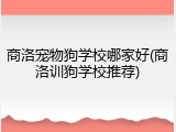 商洛宠物狗学校哪家好(商洛训狗学校推荐)