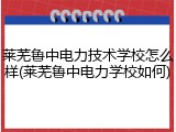 莱芜鲁中电力技术学校怎么样(莱芜鲁中电力学校如何)