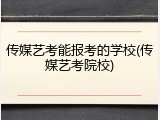 传媒艺考能报考的学校(传媒艺考院校)