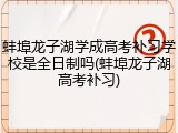 蚌埠龙子湖学成高考补习学校是全日制吗(蚌埠龙子湖高考补习)