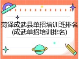 菏泽成武县单招培训班排名(成武单招培训排名)