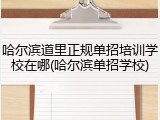 哈尔滨道里正规单招培训学校在哪(哈尔滨单招学校)