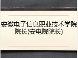 安徽电子信息职业技术学院院长(安电院院长)