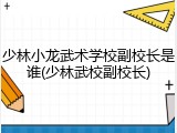 少林小龙武术学校副校长是谁(少林武校副校长)