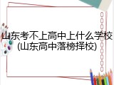 山东考不上高中上什么学校(山东高中落榜择校)