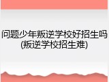 问题少年叛逆学校好招生吗(叛逆学校招生难)