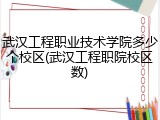 武汉工程职业技术学院多少个校区(武汉工程职院校区数)