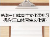 芜湖三山体育生文化课补习机构(三山体育生文化课)
