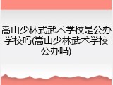 嵩山少林式武术学校是公办学校吗(嵩山少林武术学校公办吗)