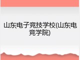 山东电子竞技学校(山东电竞学院)