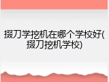 掇刀学挖机在哪个学校好(掇刀挖机学校)