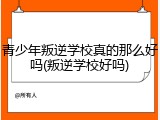 青少年叛逆学校真的那么好吗(叛逆学校好吗)
