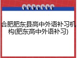 合肥肥东县高中外语补习机构(肥东高中外语补习)