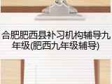 合肥肥西县补习机构辅导九年级(肥西九年级辅导)