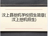 汶上县挖机学校招生简章(汶上挖机招生)