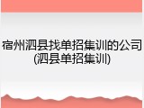 宿州泗县找单招集训的公司(泗县单招集训)