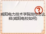 咸阳电力技术学院技校怎么样(咸阳电校如何)