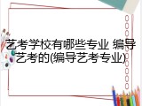 艺考学校有哪些专业 编导艺考的(编导艺考专业)