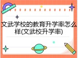 文武学校的教育升学率怎么样(文武校升学率)