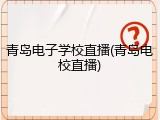青岛电子学校直播(青岛电校直播)