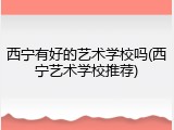 西宁有好的艺术学校吗(西宁艺术学校推荐)
