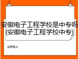 安徽电子工程学校是中专吗(安徽电子工程学校中专)