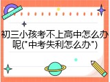 初三小孩考不上高中怎么办呢("中考失利怎么办")
