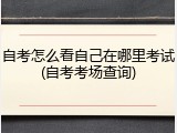 自考怎么看自己在哪里考试(自考考场查询)