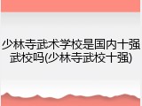 少林寺武术学校是国内十强武校吗(少林寺武校十强)