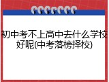 初中考不上高中去什么学校好呢(中考落榜择校)