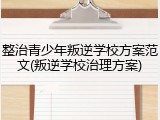 整治青少年叛逆学校方案范文(叛逆学校治理方案)