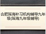 合肥瑶海补习机构辅导九年级(瑶海九年级辅导)