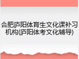 合肥庐阳体育生文化课补习机构(庐阳体考文化辅导)