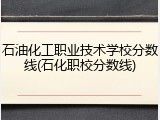 石油化工职业技术学校分数线(石化职校分数线)