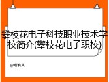 攀枝花电子科技职业技术学校简介(攀枝花电子职校)