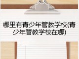 哪里有青少年管教学校(青少年管教学校在哪)