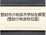 登封市少林武术学校在哪里(登封少林武校位置)