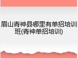 眉山青神县哪里有单招培训班(青神单招培训)