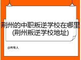 荆州的中职叛逆学校在哪里(荆州叛逆学校地址)