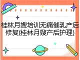 桂林月嫂培训无痛催乳产后修复(桂林月嫂产后护理)