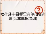 喀什莎车县哪里有单招培训班(莎车单招培训)