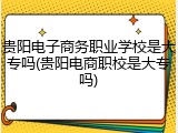 贵阳电子商务职业学校是大专吗(贵阳电商职校是大专吗)