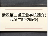 武汉第二轻工业学校简介(武汉二轻校简介)