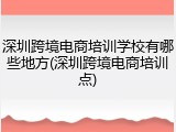 深圳跨境电商培训学校有哪些地方(深圳跨境电商培训点)