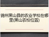 锦州黑山县的农业学校在哪里(黑山农校位置)
