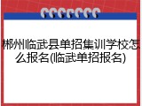 郴州临武县单招集训学校怎么报名(临武单招报名)