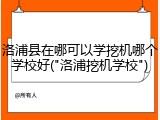 洛浦县在哪可以学挖机哪个学校好("洛浦挖机学校")