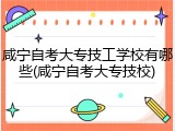 咸宁自考大专技工学校有哪些(咸宁自考大专技校)