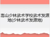 嵩山少林武术学校武术发源地(少林武术发源地)